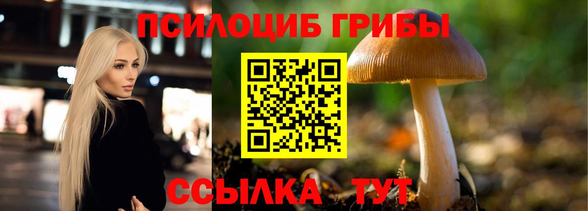 Псилоцибиновые грибы MAGIC MUSHROOMS Тамбов