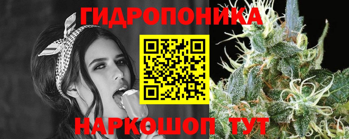 Бошки Шишки SATIVA & INDICA  Вход с VPN  Марихуана марихуана  Тамбов 
